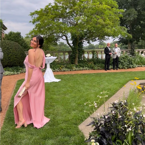 Fame and Partners Francois Dress Matte Satin Pale Pink Size 6 - Picture 10 of 10